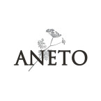 Aneto Logo